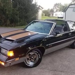 Meet your Posher, Jefflorna